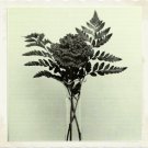 Vintage Crochet Pattern :  Carnation (flower) 1975