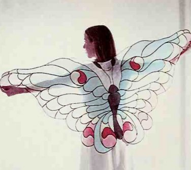 Vintage Sewing Pattern :  Stained Glass Butterfly Shawl  (1979)