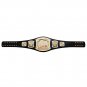 Championship Spinner Title Belt with Free Carrying Bag