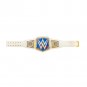 SmackDown Women's Championship Title Belt with Free Carrying Bag