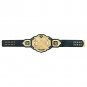 NXT Championship Title Belt (2017) with Free Carrying Bag