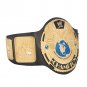Attitude Era Championship Title Belt with Free Carrying Bag