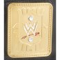 Attitude Era Championship Title Belt with Free Carrying Bag