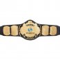 Winged Eagle Championship Title Belt with Free Carrying Bag
