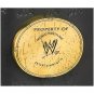 Attitude Era Women's Championship Title Belt with Free Carrying Bag