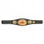 Attitude Era Women's Championship Title Belt with Free Carrying Bag