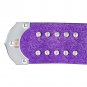 Undertaker Limited Edition Legacy Championship Title Belt with Free Casket