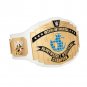Intercontinental Championship Title Belt (2014) with Free Carrying Bag