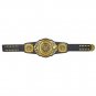 Intercontinental Championship Title (2019) Belt with Free Carrying Bag