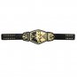 NXT Tag Team Championship Title Belt (2014) with Free Carrying Bag