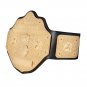 WCW Heavyweight Championship Title Belt with Free Carrying Bag