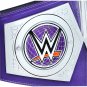 Cruiserweight Championship Title Belt with Free Carrying Bag
