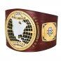 NXT North American Championship Title Belt with Free Carrying Bag