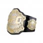 UFC Classic Championship Title Belt with Free Carrying Bag