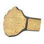 World Heavyweight Championship Title Belt with Free Carrying Bag