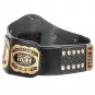 Ring of Honor World Tag Team Championship Belt with Free Carrying Bag