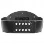 Ring of Honor Classic World Championship Title Belt with Free Carrying Bag