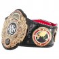 Ring of Honor World Championship Title Belt with Free Carrying Bag
