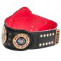 Ring of Honor World Championship Title Belt with Free Carrying Bag