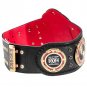 Ring of Honor World Championship Title Belt with Free Carrying Bag