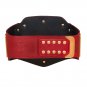 Deluxe Universal Championship Title Belt with Free Carrying Bag