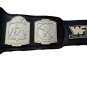 World Tag Team Championship Title Belt with Free Carrying Bag