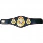 WBC WBA WBO IBF IBO Championship Boxing Mini Title Belt 5 PCs Set with Free Carrying Bag