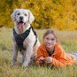 Rabbitgoo  Dog Harness No-Pull Pet Harness Adjustable Outdoor Pet Vest 3M