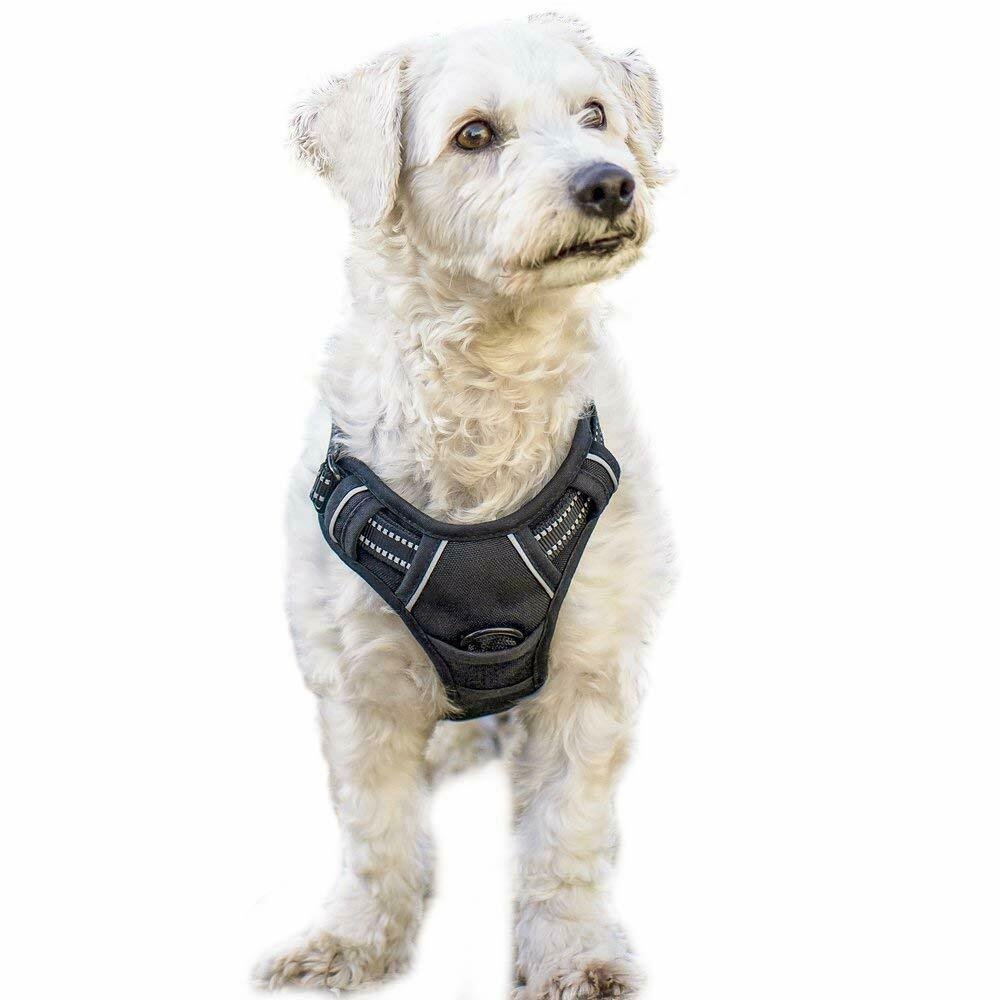 Rabbitgoo dog harness no-pull pet harness adjustable Reflective Oxford