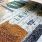 Ottomanson New Rugs One Hundred Dollar ($100) Bill Print New Benjamin Non-Sli...