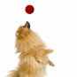 Nerf Dog Checker Squeak Rubber Ball Dog Toy, Small/Medium, Red