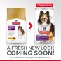 Hill'S Science Diet Adult Sensitive Stomach & Skin Dog Food, 15.5 Lb Bag