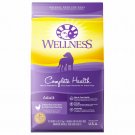 Wellness Complete Health Natural Dry Dog Food, Chicken & Oatmeal, 5-Pound Bag