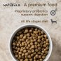 Diamond Naturals All Life Stages Real Meat Recipe Dry Dog Food