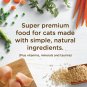 Rachael Ray Nutrish Natural Dry Cat Food, Chicken & Brown Rice Recipe, 14 Lbs