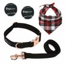 AJ EXPRESS Deluxe Dog Collar and Leash Walking Kit - Matching Nylon Collar
