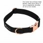 AJ EXPRESS Deluxe Dog Collar and Leash Walking Kit - Matching Nylon Collar