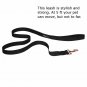 AJ EXPRESS Deluxe Dog Collar and Leash Walking Kit - Matching Nylon Collar