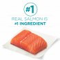 Purina One Tender Selects Blend With Real Salmon Adult Dry Cat Food - 16 Lb. Bag