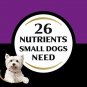 Cesar Small Breed Dry Dog Food