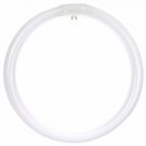 Sunlite FC12T9/CW Fluorescent 32W T9 Circline Ceiling Lights, 4100K Cool Whit...