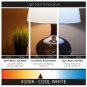 Sunlite FC12T9/CW Fluorescent 32W T9 Circline Ceiling Lights, 4100K Cool Whit...