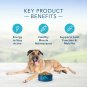 Blue Buffalo Life Protection Formula Natural Senior Dry Dog Food, Chicken