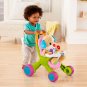 Fisher-Price Stroll & Learn Walker, Pink