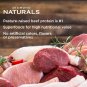 Diamond Naturals Adult Real Meat Recipe Premium Dry Dog Food 40Lb