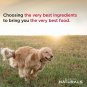 Diamond Naturals Adult Real Meat Recipe Premium Dry Dog Food 40Lb