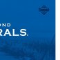 Diamond Naturals Adult Real Meat Recipe Premium Dry Dog Food 40Lb
