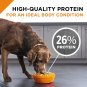 Purina Pro Plan SAVOR Shredded Blend Formula Adult Dry Dog Food