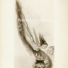 Esther WILLIAMS This Time for Keeps Original 1947 AD ART Movie Photo