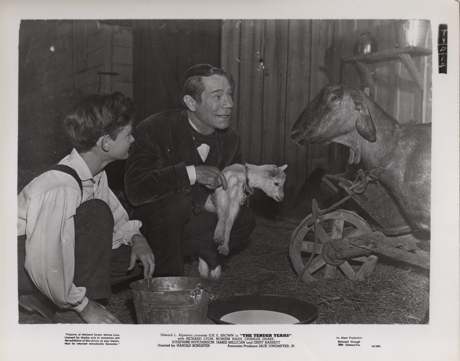 Richard Lyon Joe E. Brown The Tender Years Original 20th Century Fox 1948 Photo